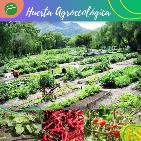Web_Producción (3)