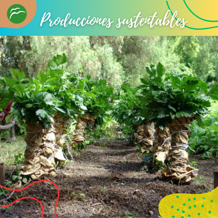 Web_Producción (9)